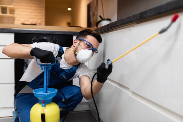 Best Wasp Removal Services  in Orem, UT