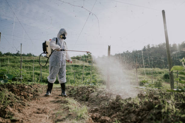 Best Local Pest Control Services  in Orem, UT