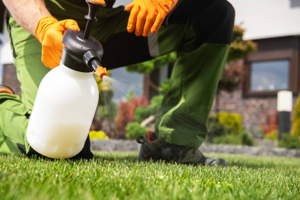 Best Best Pest Control Near Me  in Orem, UT