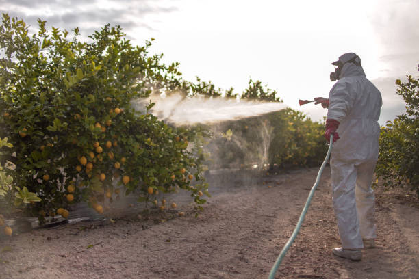 Best Ant Control Services  in Orem, UT