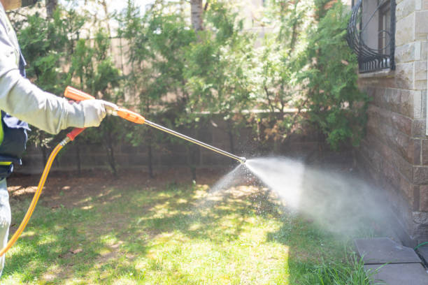 Best Residential Pest Control  in Orem, UT