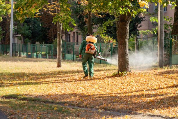 Best Pest Prevention Services  in Orem, UT