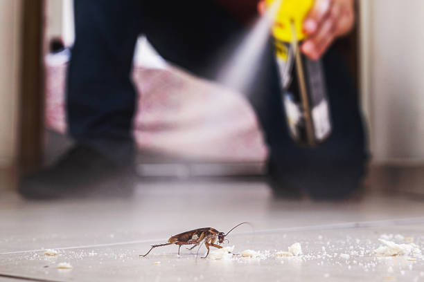 Best Best Pest Control Companies  in Orem, UT